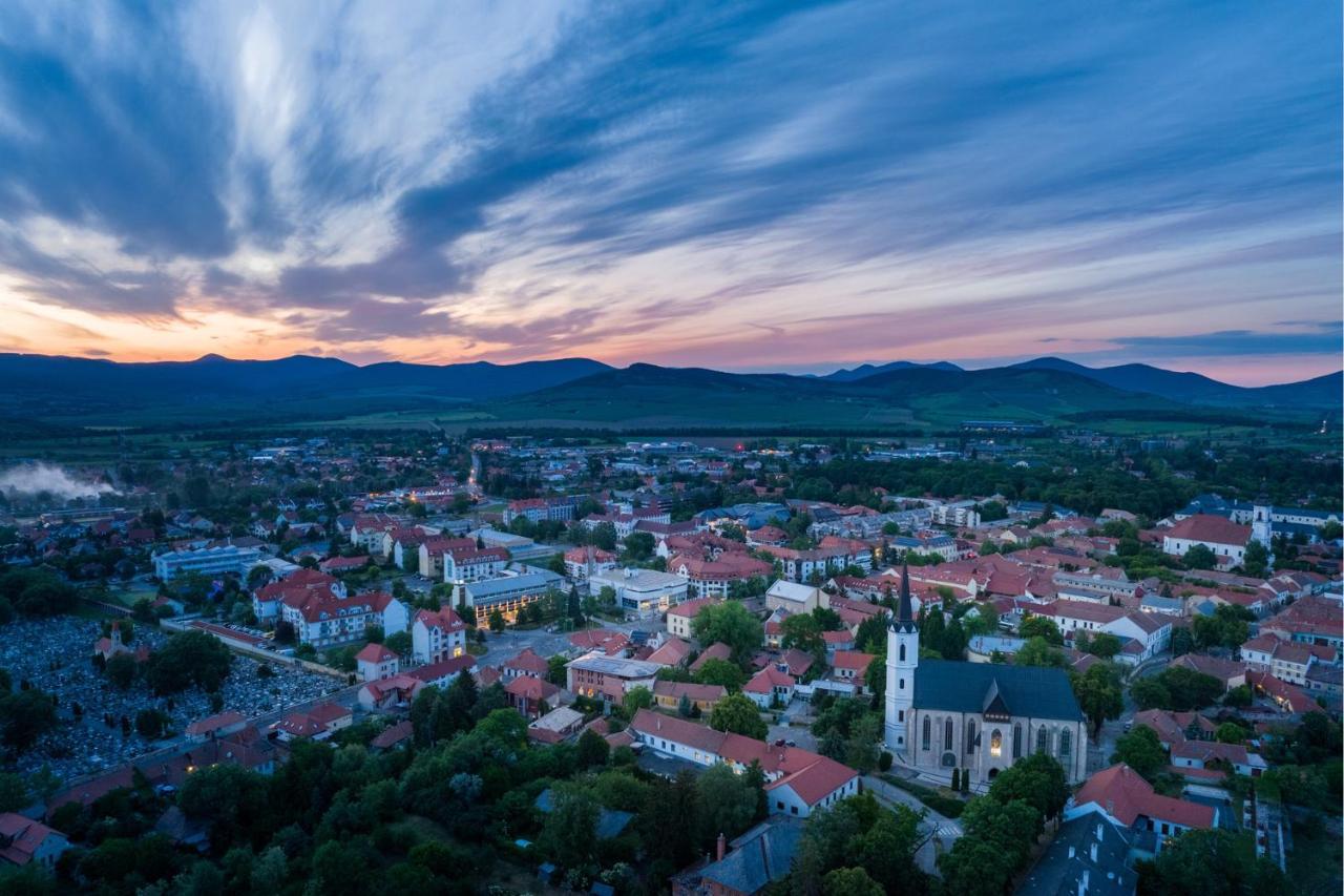 Hotel Bodrog Wellness & Elix Spa Sarospatak Bagian luar foto