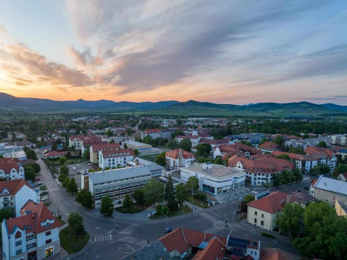 Hotel Bodrog Wellness & Elix Spa Sarospatak Bagian luar foto