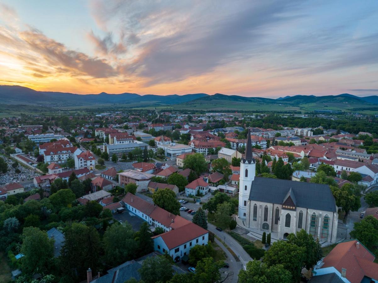 Hotel Bodrog Wellness & Elix Spa Sarospatak Bagian luar foto