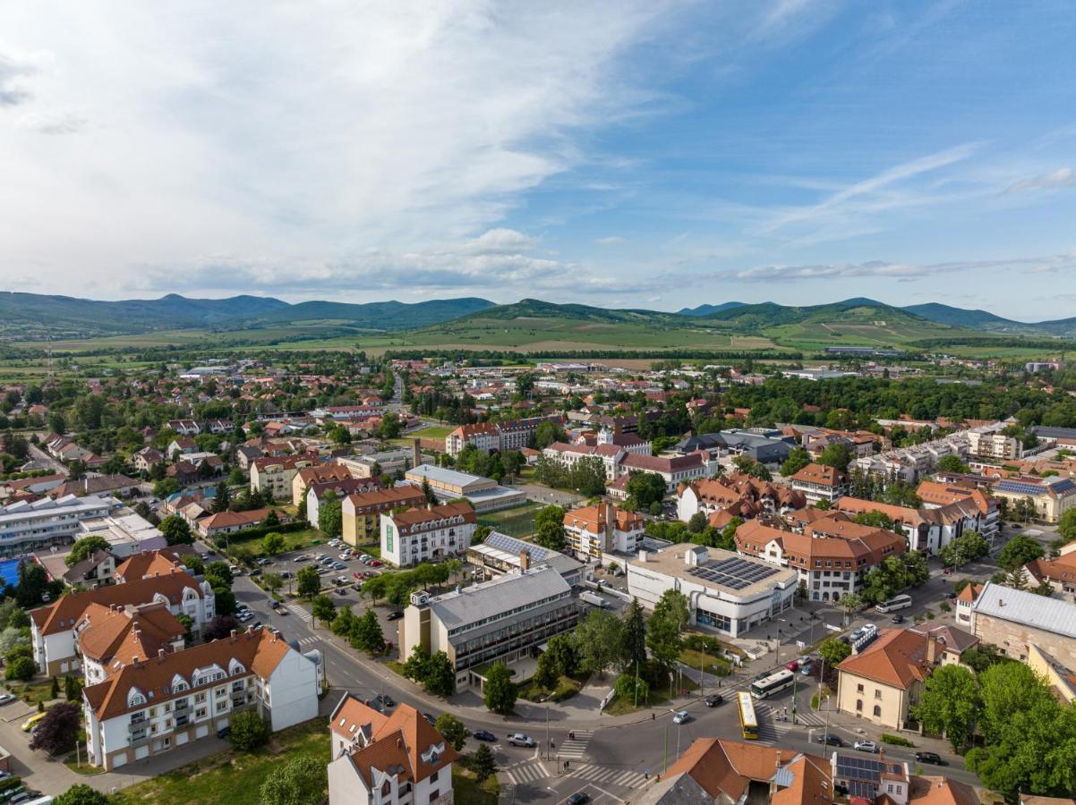 Hotel Bodrog Wellness & Elix Spa Sarospatak Bagian luar foto